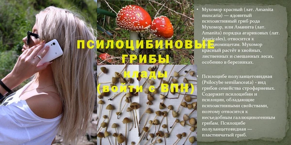 мяу мяу мука Армянск