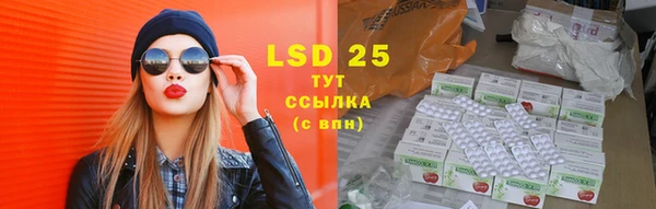 ГАЛЛЮЦИНОГЕННЫЕ ГРИБЫ Арсеньев