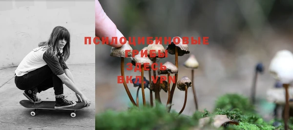 ГАЛЛЮЦИНОГЕННЫЕ ГРИБЫ Арсеньев